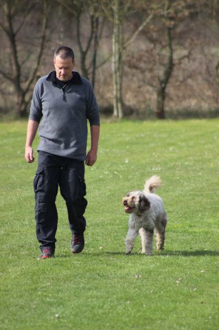 Begleithundeprüfung 08.04.2017