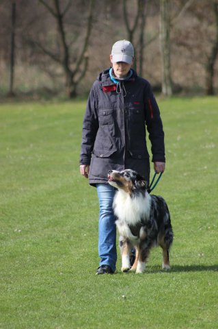 Begleithundeprüfung 08.04.2017
