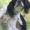 170610_Sommerfest