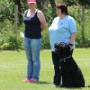 170610_Sommerfest