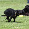 170610_Sommerfest