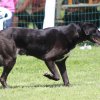 170610_Sommerfest