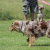 170610_Sommerfest