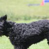 170610_Sommerfest