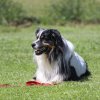 170610_Sommerfest