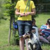 170610_Sommerfest