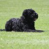 170610_Sommerfest