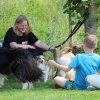 170610_Sommerfest