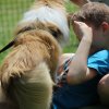 170610_Sommerfest