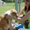 170610_Sommerfest