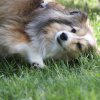 170610_Sommerfest
