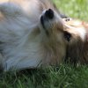 170610_Sommerfest