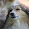 170610_Sommerfest