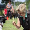 170610_Sommerfest