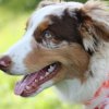 170610_Sommerfest