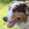 170610_Sommerfest