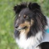 170610_Sommerfest