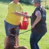 170610_Sommerfest