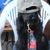 170610_Sommerfest