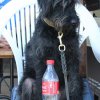 170610_Sommerfest